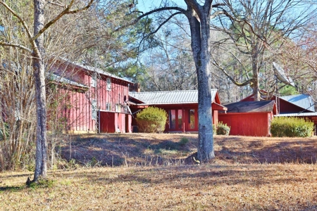 Hunting Lodge Timber 2260 Acres Jefferson County SW MS - image 4