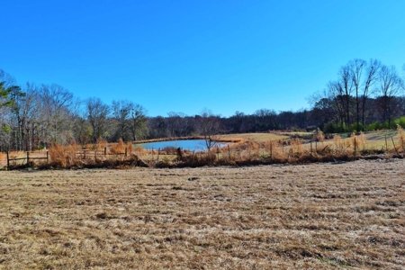 Hunting Lodge Timber 2260 Acres Jefferson County SW MS - image 48