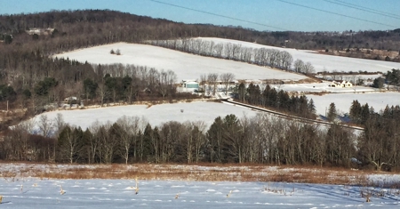 Bradford County PA Hunting Land with OGM Potential For Sale - image 2