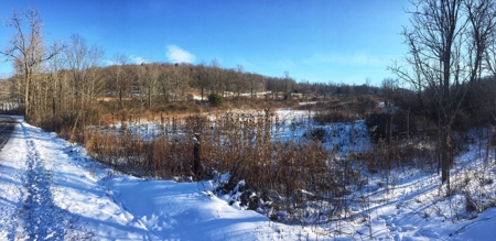 Bradford County PA Hunting Land with OGM Potential For Sale - image 6