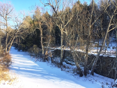 Bradford County PA Hunting Land with OGM Potential For Sale - image 4