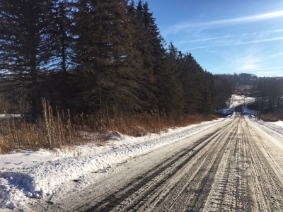 Bradford County PA Hunting Land with OGM Potential For Sale - image 1