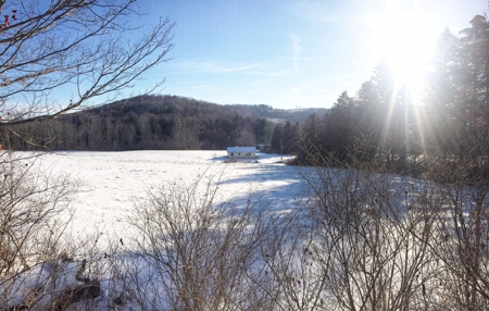 Bradford County PA Hunting Land with OGM Potential For Sale - image 5