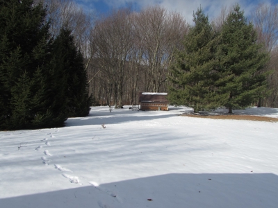High On The West Virginia Mountains - image 12