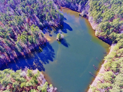 111 Acre Sanctuary with Pond in Benton LA Bossier Parish - image 7