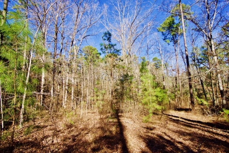 111 Acre Sanctuary with Pond in Benton LA Bossier Parish - image 27
