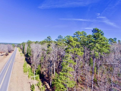 111 Acre Sanctuary with Pond in Benton LA Bossier Parish - image 21