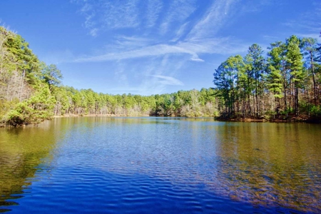 111 Acre Sanctuary with Pond in Benton LA Bossier Parish - image 6
