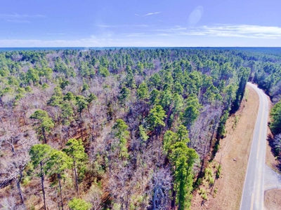 111 Acre Sanctuary with Pond in Benton LA Bossier Parish - image 22