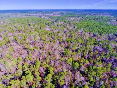 111 Acre Sanctuary with Pond in Benton LA Bossier Parish - image 30