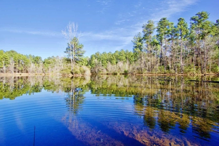 111 Acre Sanctuary with Pond in Benton LA Bossier Parish - image 14