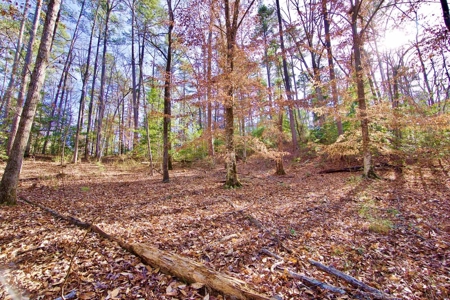 111 Acre Sanctuary with Pond in Benton LA Bossier Parish - image 18
