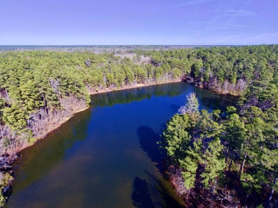 111 Acre Sanctuary with Pond in Benton LA Bossier Parish - image 11