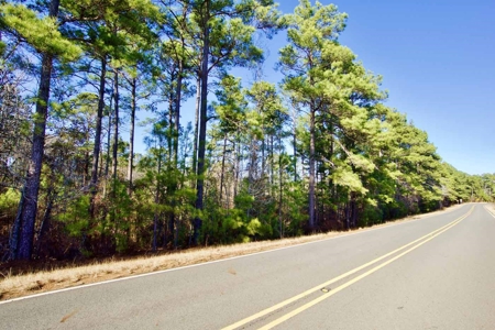 111 Acre Sanctuary with Pond in Benton LA Bossier Parish - image 26