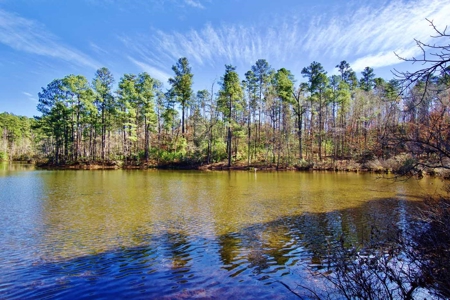 111 Acre Sanctuary with Pond in Benton LA Bossier Parish - image 4