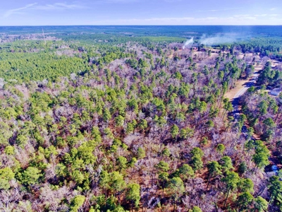 111 Acre Sanctuary with Pond in Benton LA Bossier Parish - image 25