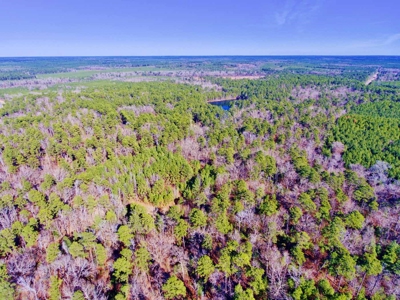 111 Acre Sanctuary with Pond in Benton LA Bossier Parish - image 16