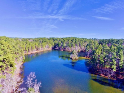 111 Acre Sanctuary with Pond in Benton LA Bossier Parish - image 2