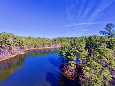 111 Acre Sanctuary with Pond in Benton LA Bossier Parish - image 13