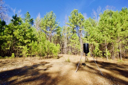111 Acre Sanctuary with Pond in Benton LA Bossier Parish - image 32