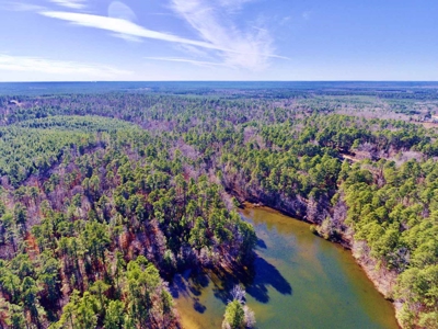 111 Acre Sanctuary with Pond in Benton LA Bossier Parish - image 8