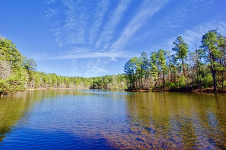 111 Acre Sanctuary with Pond in Benton LA Bossier Parish - image 1