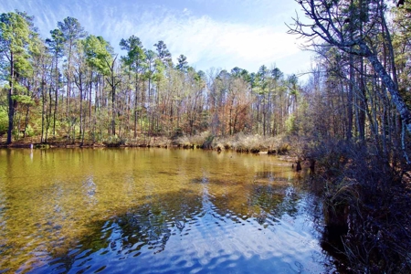 111 Acre Sanctuary with Pond in Benton LA Bossier Parish - image 9