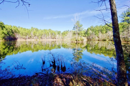 111 Acre Sanctuary with Pond in Benton LA Bossier Parish - image 12