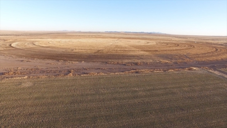 Cert. Organic Farm For Sale Southern New Mexico-Irrigated - image 16