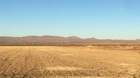 Cert. Organic Farm For Sale Southern New Mexico-Irrigated - image 7