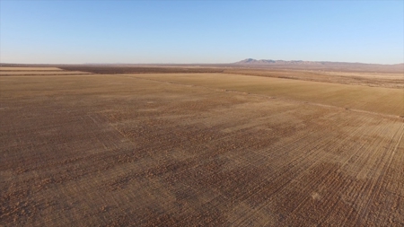Cert. Organic Farm For Sale Southern New Mexico-Irrigated - image 15