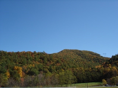 Large Acreage Hunting And  Recreational Tract In Bland VA - image 5