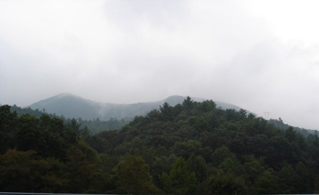 Large Acreage Hunting And  Recreational Tract In Bland VA - image 1