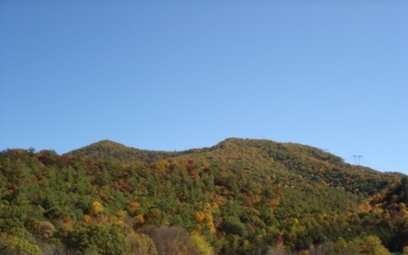Large Acreage Hunting And  Recreational Tract In Bland VA - image 4