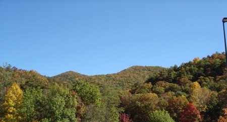 Large Acreage Hunting And  Recreational Tract In Bland VA - image 6