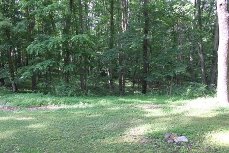 Charming Country Home In Lebanon VA For Sale - image 11