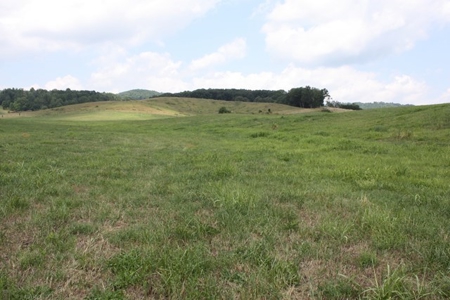 Level Building Site in Great Bristol VA Location For Sale - image 1