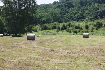Level Building Site in Great Bristol VA Location For Sale - image 10
