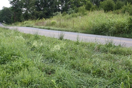 Level Building Site in Great Bristol VA Location For Sale - image 4