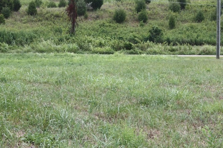 Level Building Site in Great Bristol VA Location For Sale - image 3