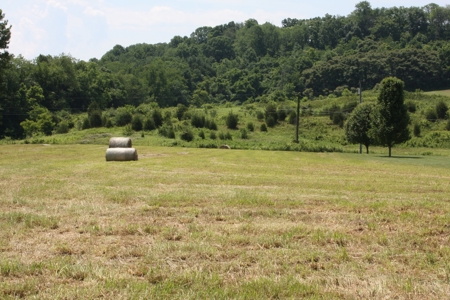Level Building Site in Great Bristol VA Location For Sale - image 11