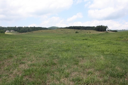 Level Building Site in Great Bristol VA Location For Sale - image 2