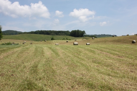 Level Building Site in Great Bristol VA Location For Sale - image 6