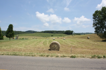 Level Building Site in Great Bristol VA Location For Sale - image 9