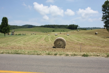 Level Building Site in Great Bristol VA Location For Sale - image 8