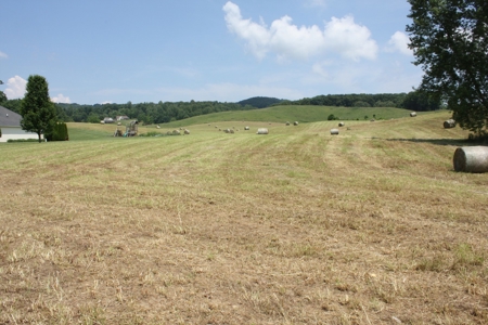 Level Building Site in Great Bristol VA Location For Sale - image 7