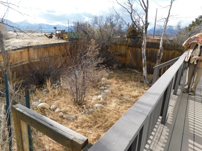 Clean and Sharp Dome Home For Sale in Salida, Colorado - image 20