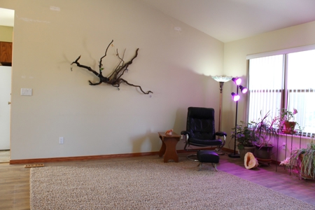 Rocky Mountain Custom Home with Shop in Canon City - image 6