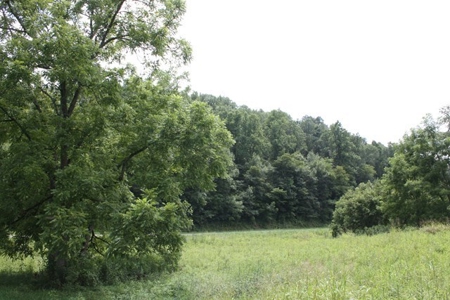 Large Hunting and Recreational Tract In Dungannon VA - image 3