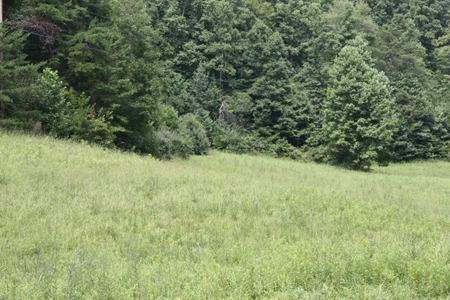 Large Hunting and Recreational Tract In Dungannon VA - image 9